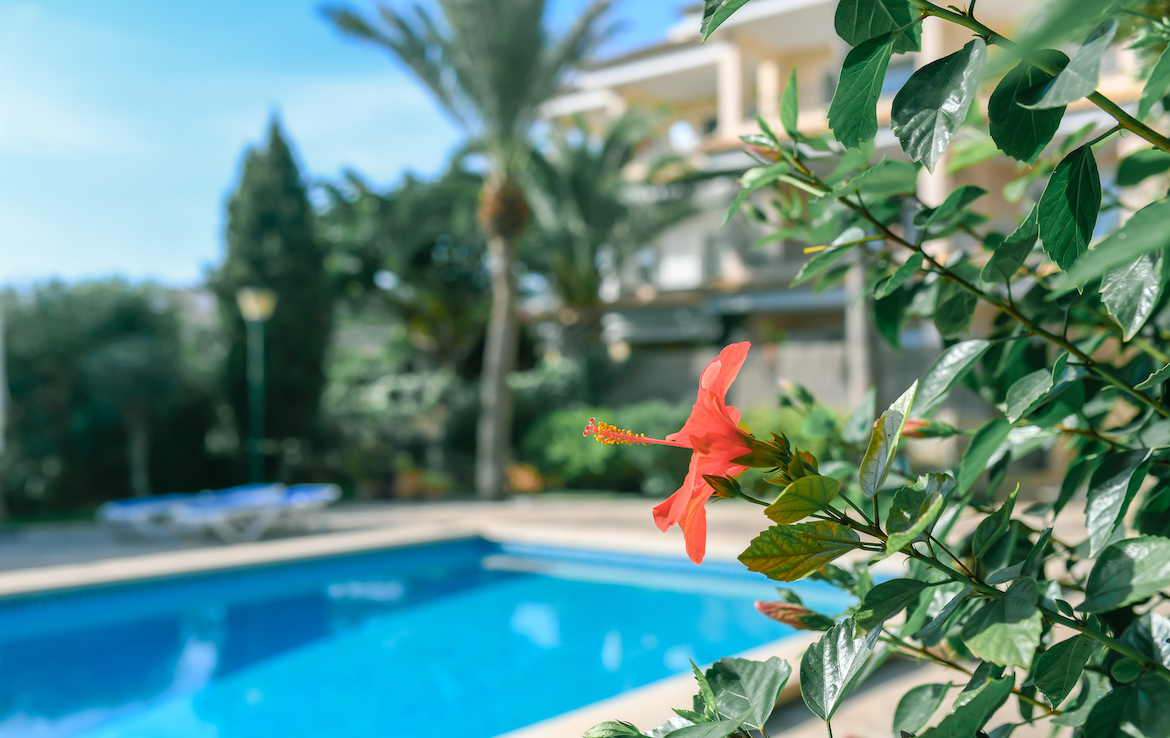 beautiful apartment in portals nous